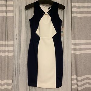 Ivanka Trump Dress